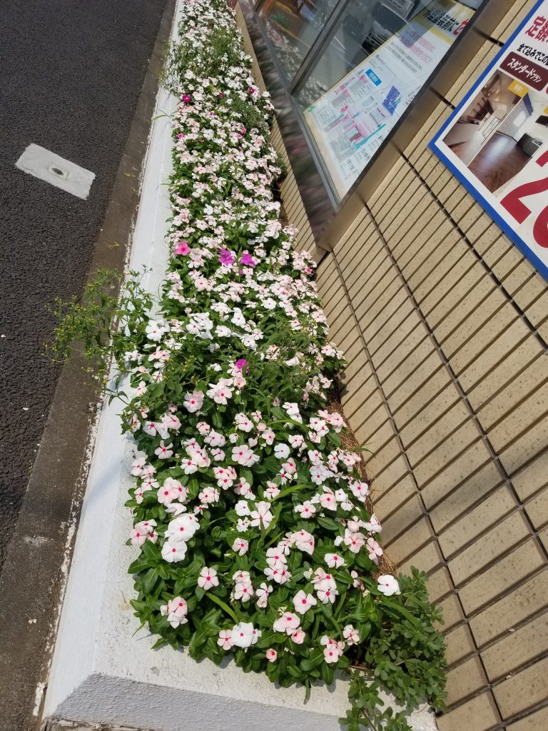 リフォーム東京　花壇