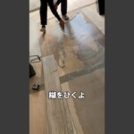 川崎市 空室対策リノベーション 1K